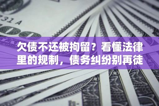 北京欠债不还被拘留？看懂法律里的规制，债务纠纷别再徒劳奔波
