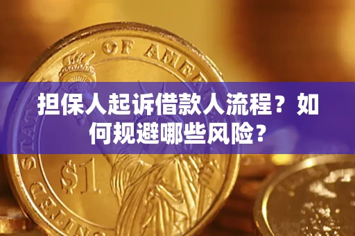 北京担保人起诉借款人流程？如何规避哪些风险？