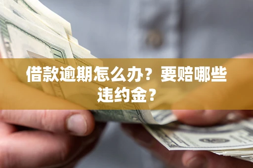 北京借款逾期怎么办？要赔哪些违约金？