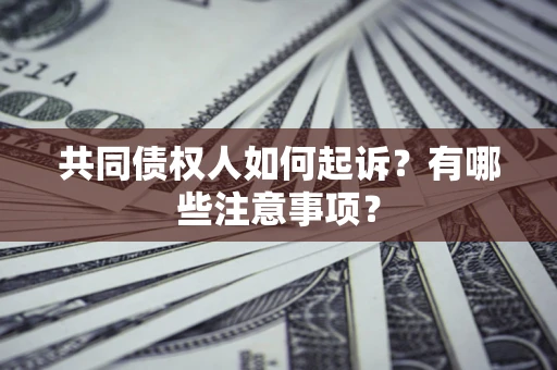 北京共同债权人如何起诉？有哪些注意事项？